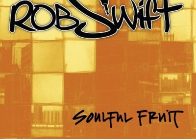 Rob Swift DJ School